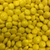 Sweetas954 Chocolate Buttons - Yellow